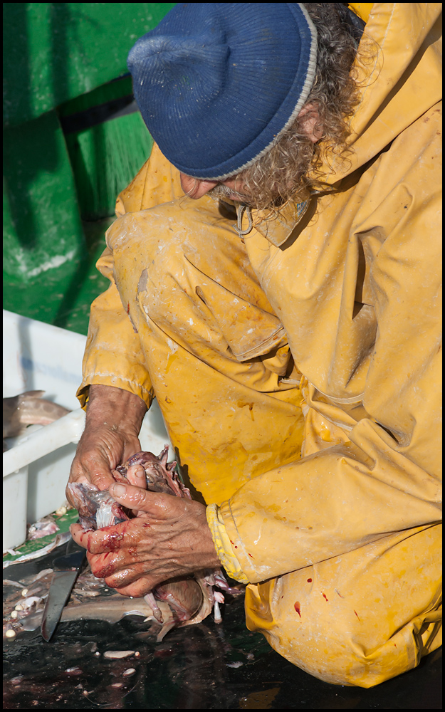 Preparing fish