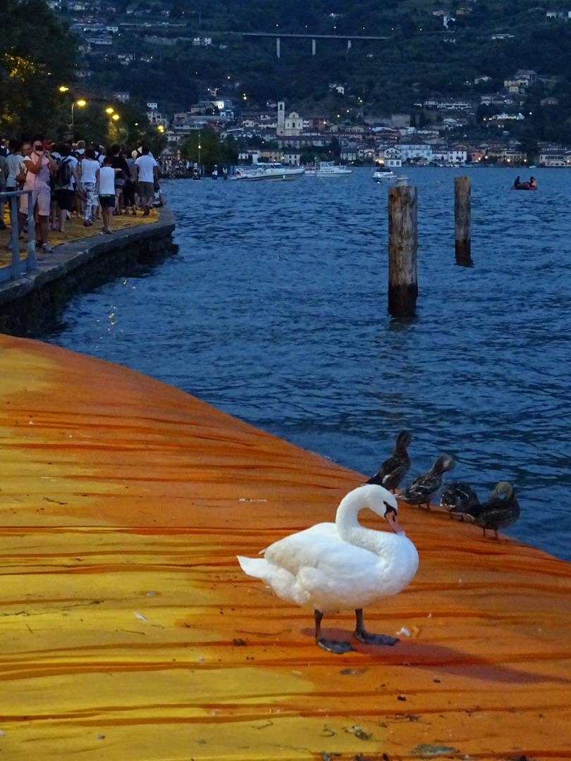 Preparing for the night on the floating piers by Christo on Lago d'Iseo