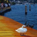 Preparing for the night on the floating piers by Christo on Lago d'Iseo