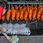 Preparing the Peking Duck