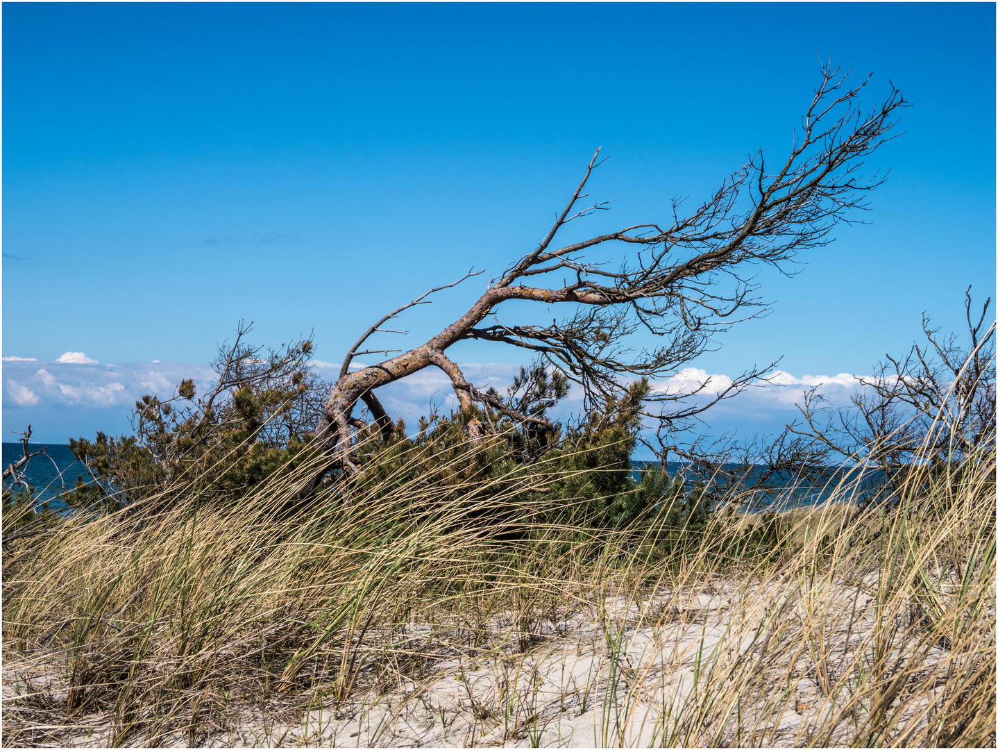 Prerow, Fischland Darß am Ostseestrand