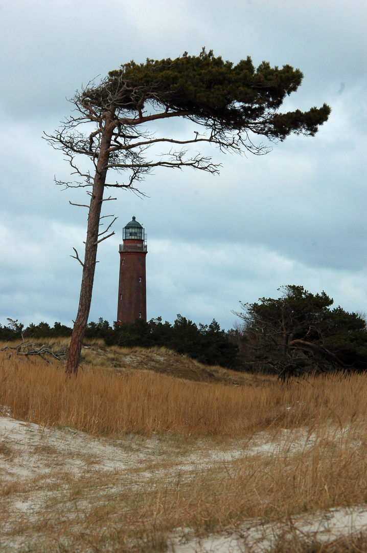 Prerow - Leuchtturm Darßer Ort 2