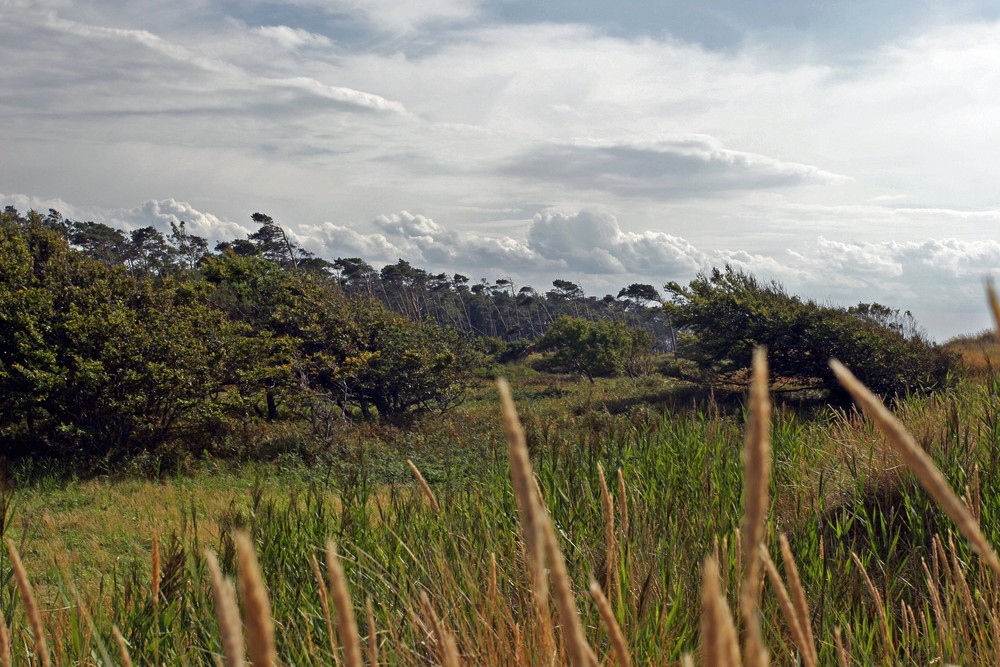 Prerow Weststrand