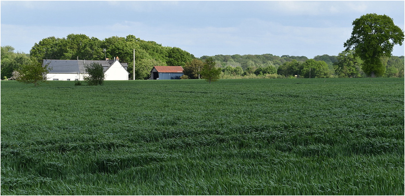 près de chez moi