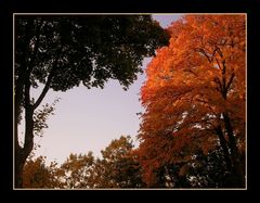 Près de chez moi, chaleur d'automne