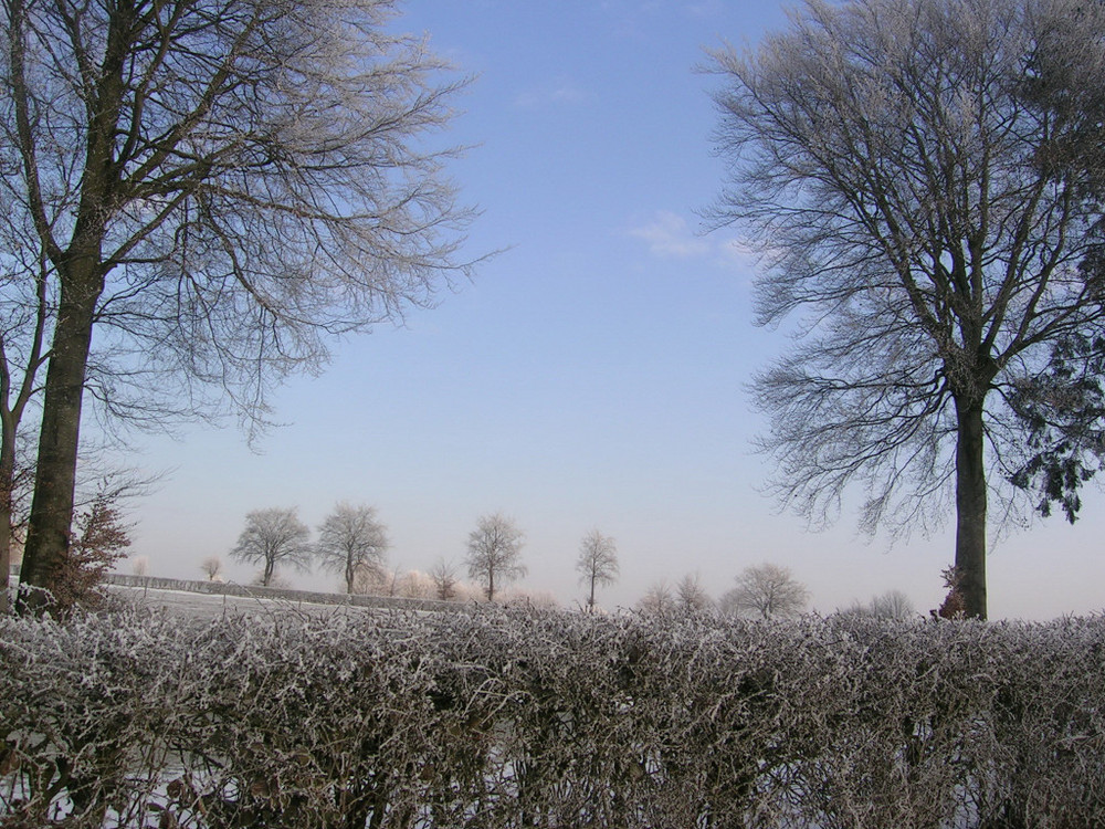 Près de chez moi, une autre "Aquarelle naturelle"