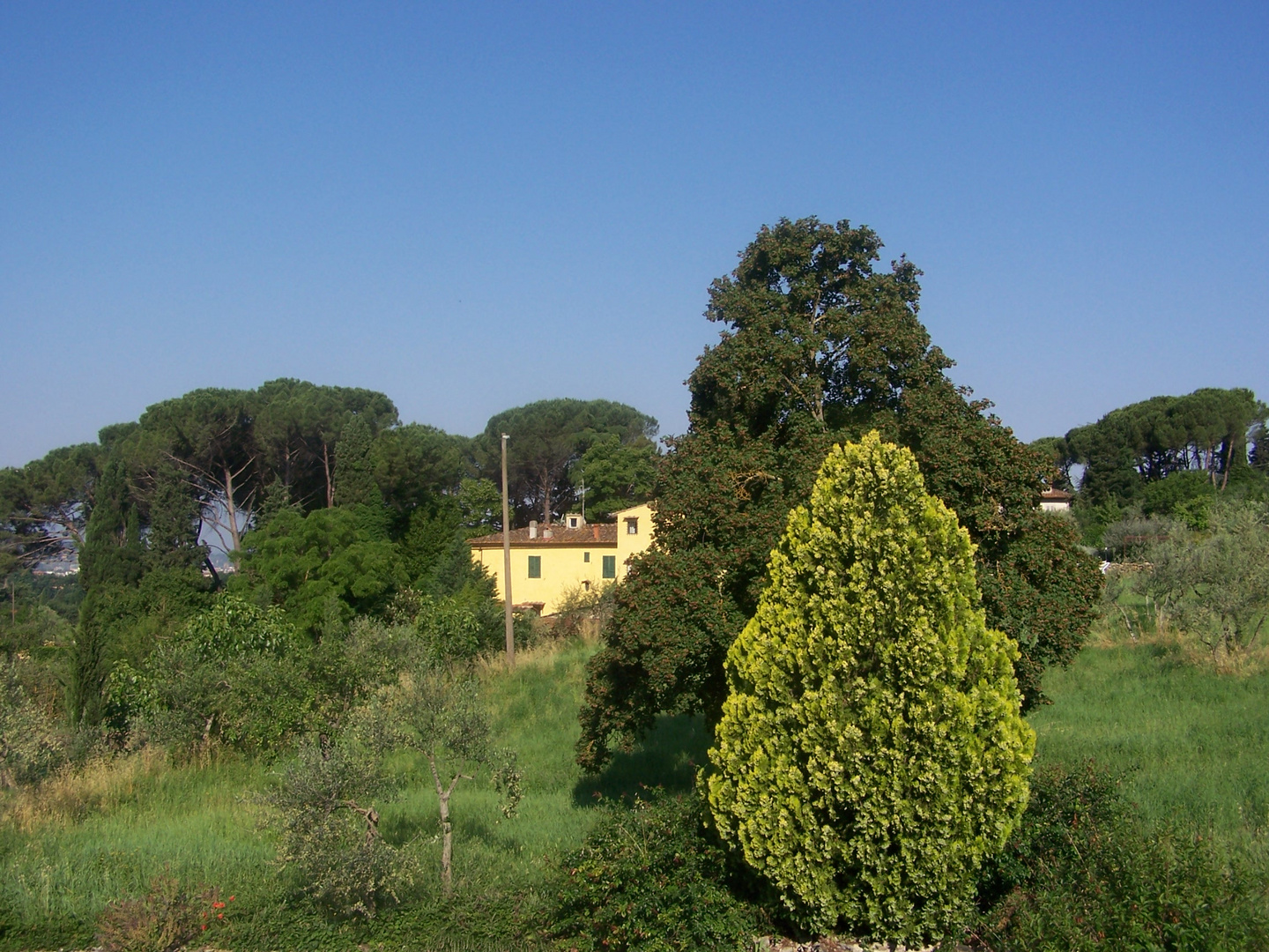 Près de Florence