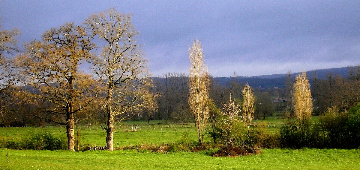 pres de Hautefort. Dordogne..