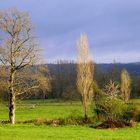 pres de Hautefort. Dordogne..