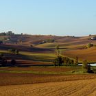 Près de La Sauvetat (Gers) -- In der Nähe von La Sauvetat (Gers)