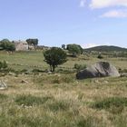 Près de Pont-de-Montvert (48)