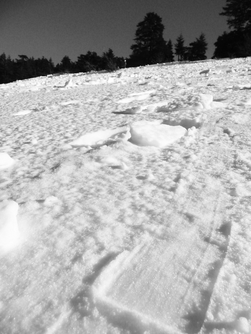 Près de Sefrou, la neige au Rendez-vous