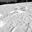 Près de Sefrou, la neige au Rendez-vous