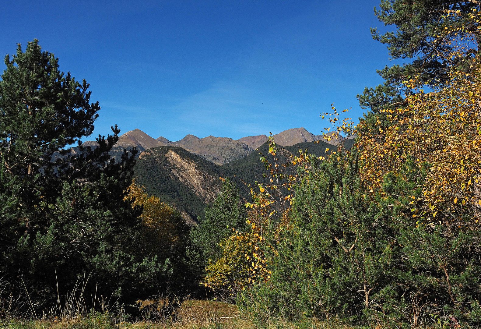 Près du Col d’Ordino  -  Andorre