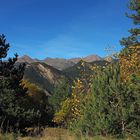 Près du Col d’Ordino  -  Andorre