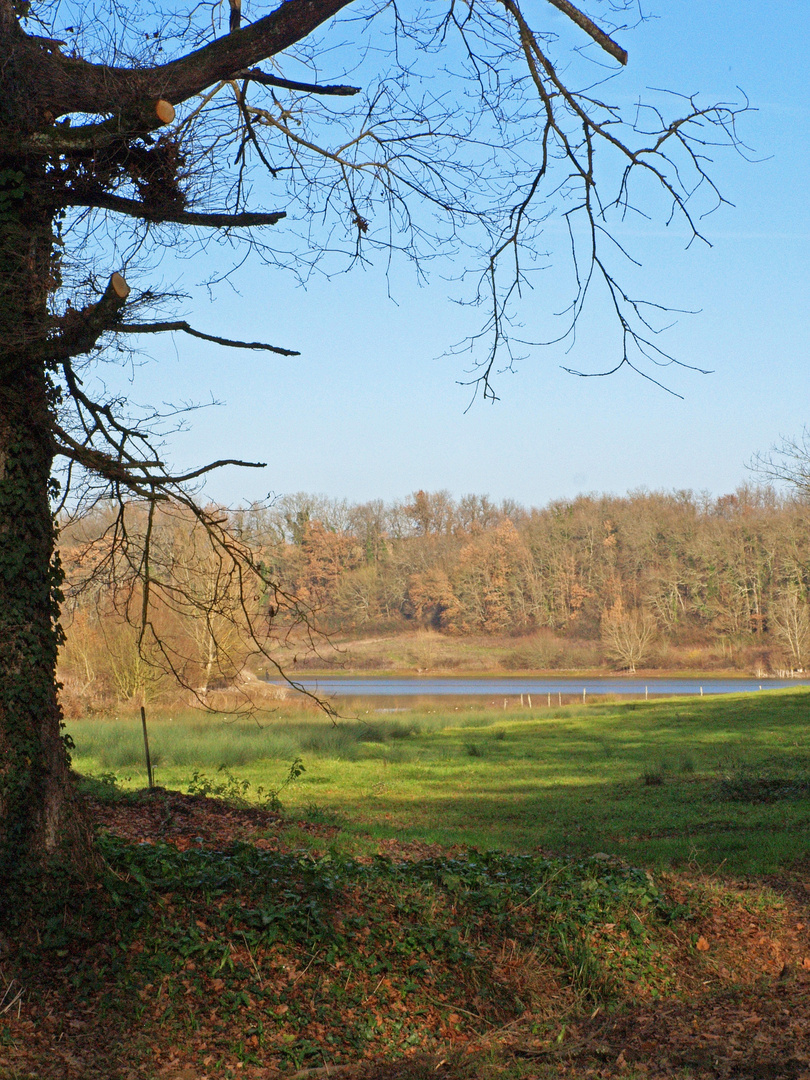 Près du lac du Bousquetarra