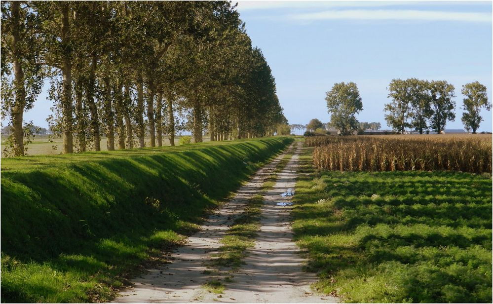 près du mont st michel