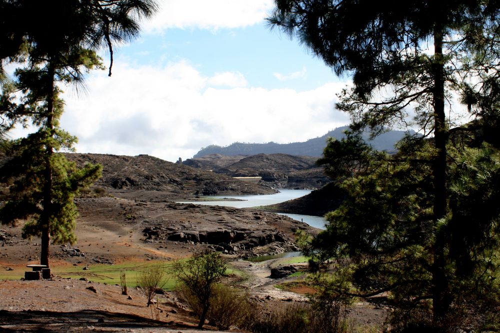 Presa de "Las Niñas" (sin agua)