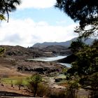 Presa de "Las Niñas" (sin agua)