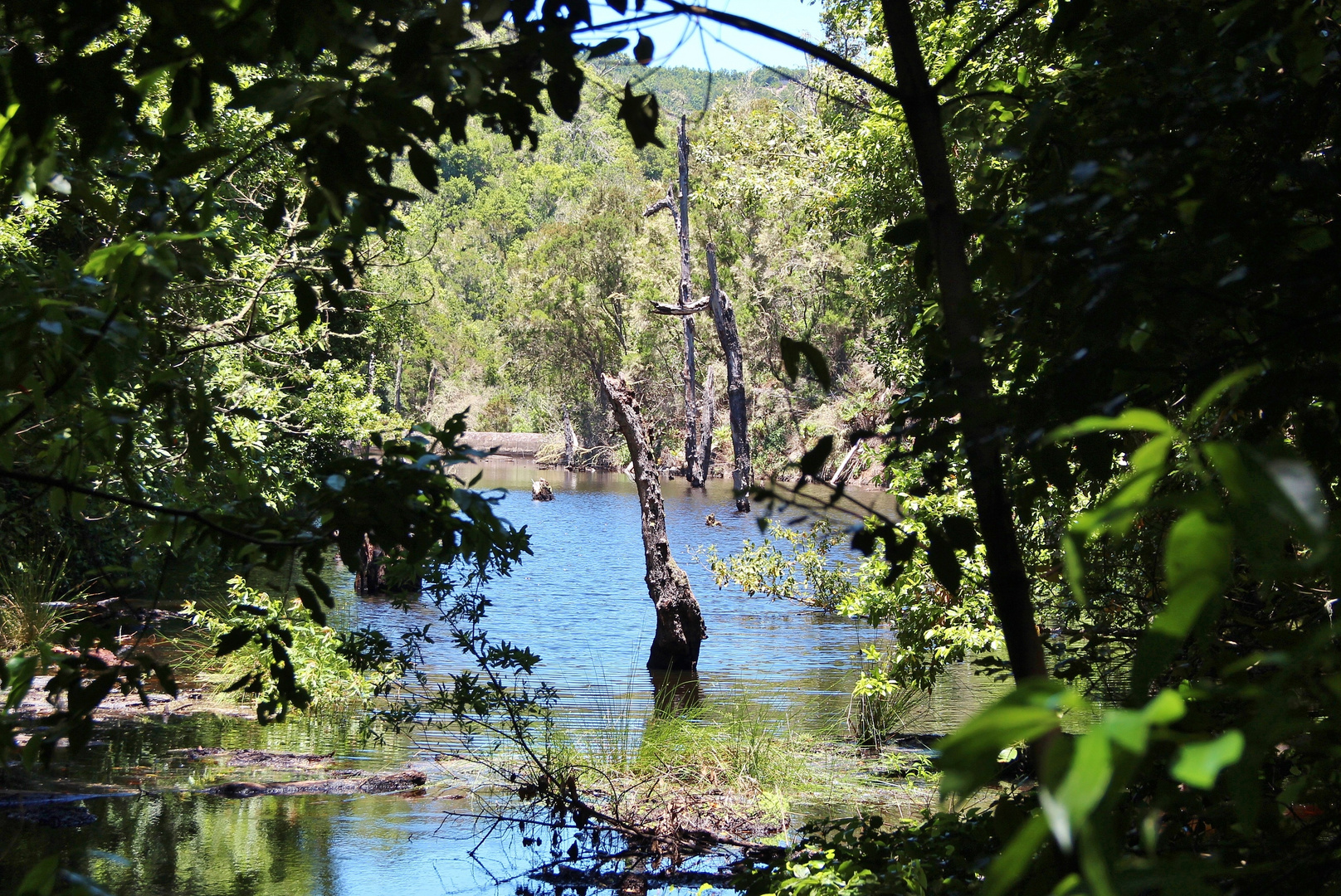 Presa de Meriga