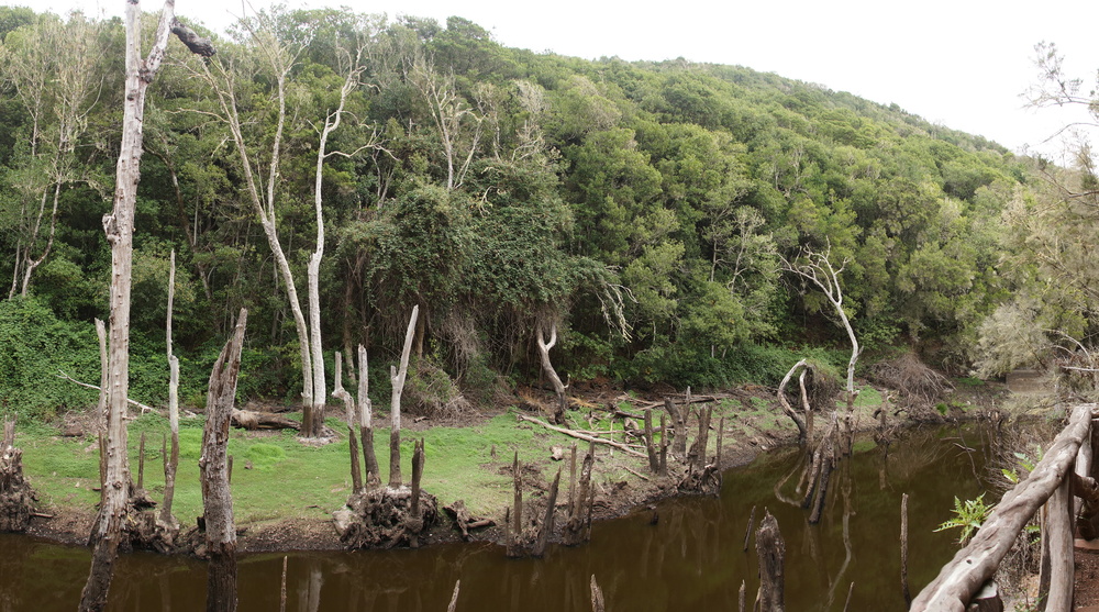 Presa de Meriga - ein versunkener See im Zauberwald (2)