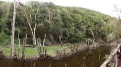 Presa de Meriga - ein versunkener See im Zauberwald (2)