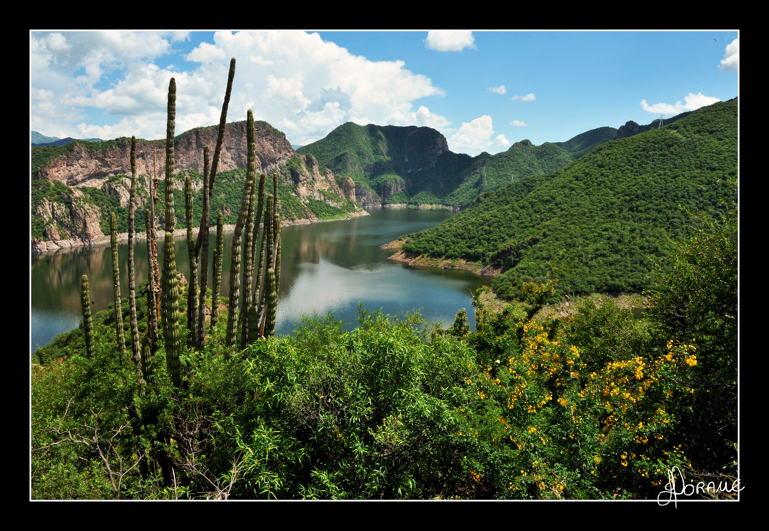 Presa Plutarco Elias Calles (El Novillo ) SONORA MEXICO