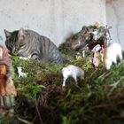 presepe