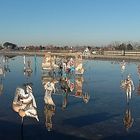 Presepe lagunare