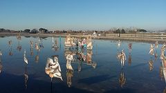 Presepe lagunare