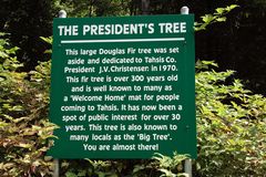 President´s Tree