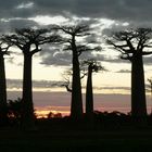 Presque nuit à Morondave (Madagascar)