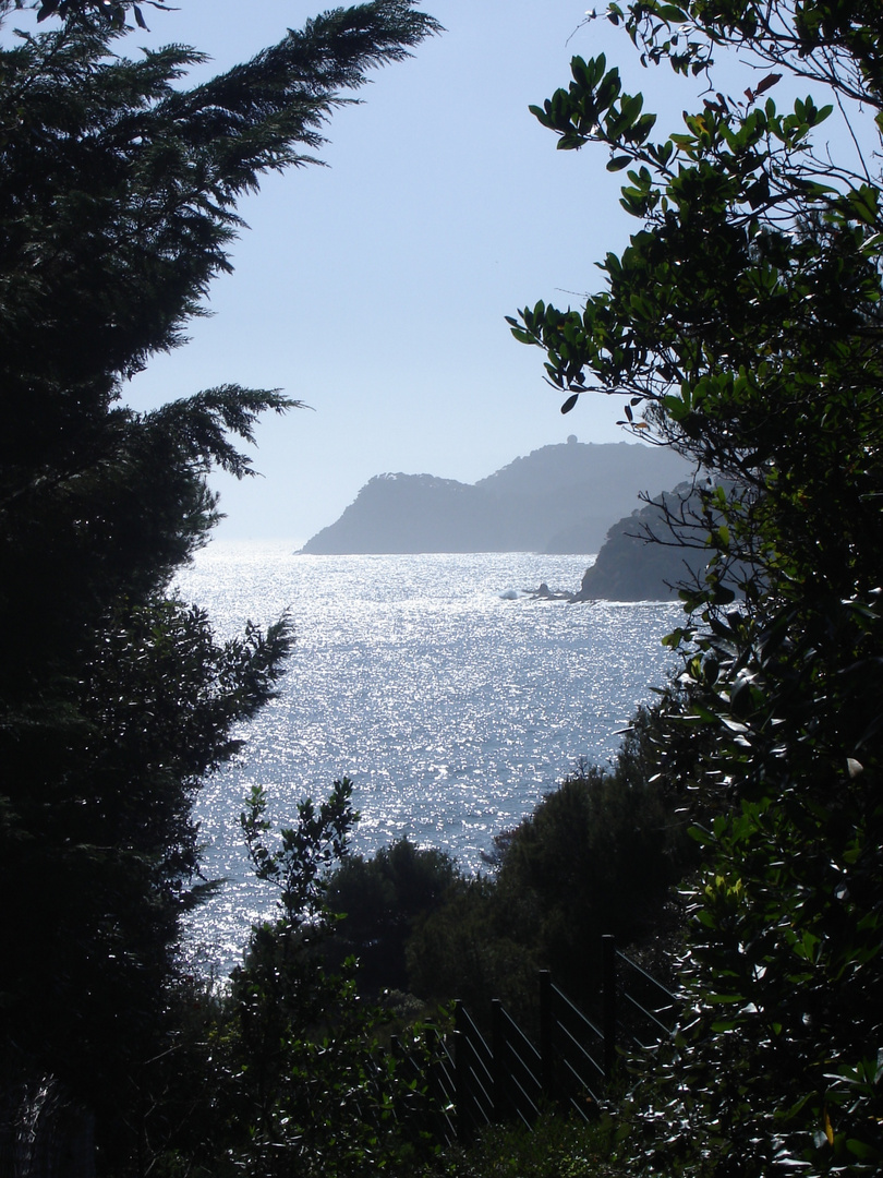 Presqu'île de Giens