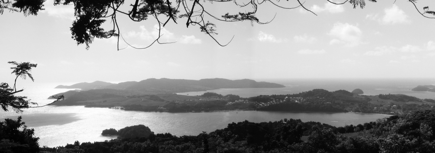 Presqu'île de la Caravelle, Martinique