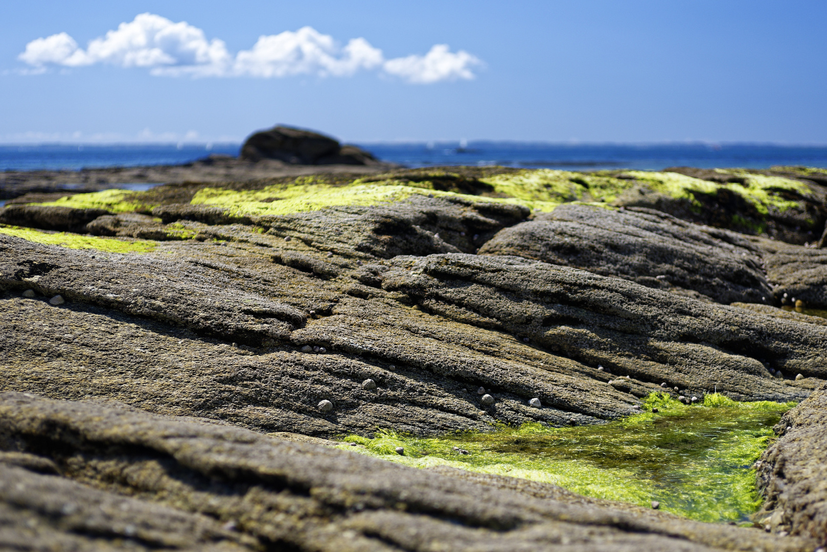 Presqu'île de Quiberon