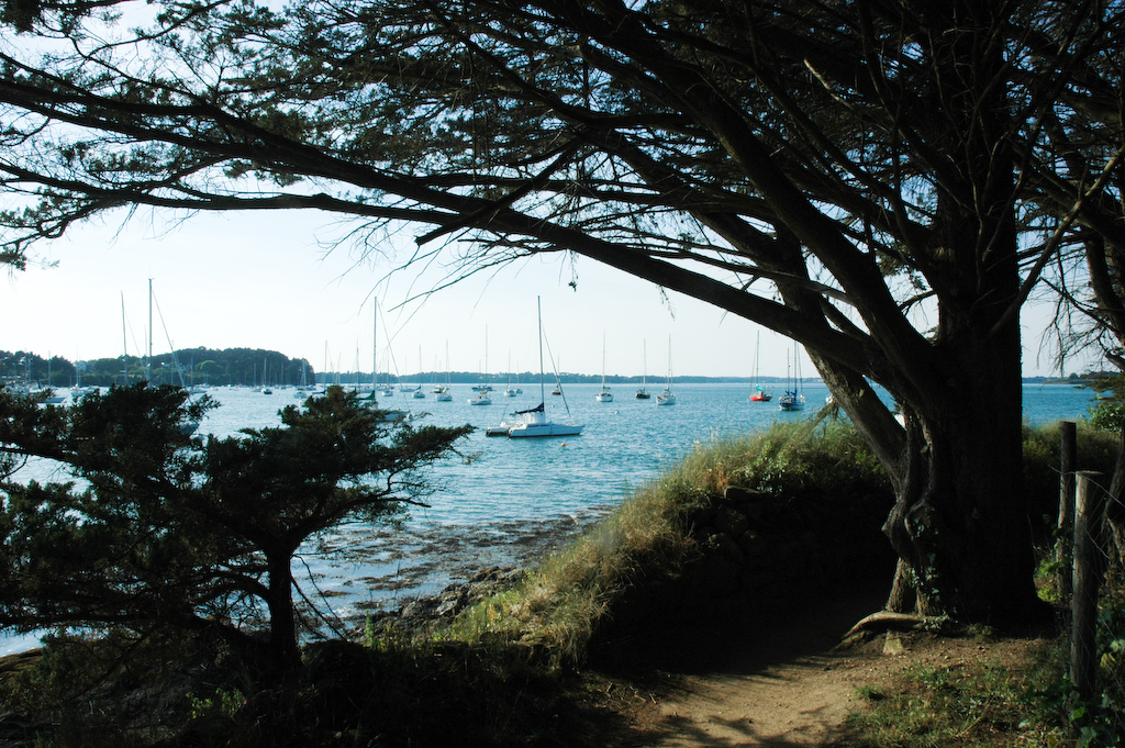 Presqu'île de Rhuys