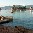 *Presqu'île Isolella