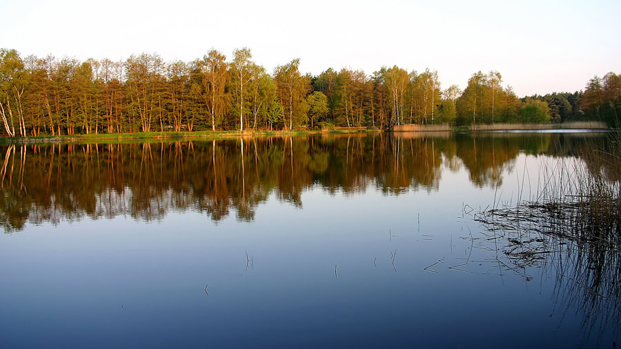 Presseler Teich Foto & Bild landschaft, bach, fluss & see, see, teich