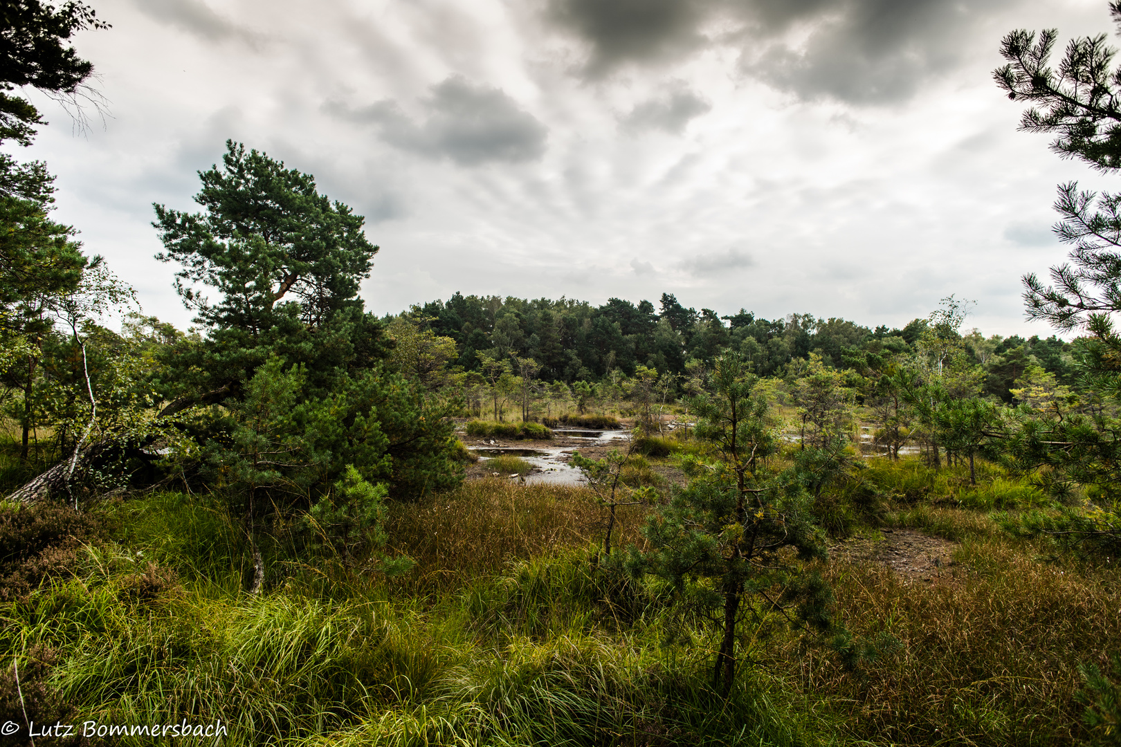 Pressler Moor