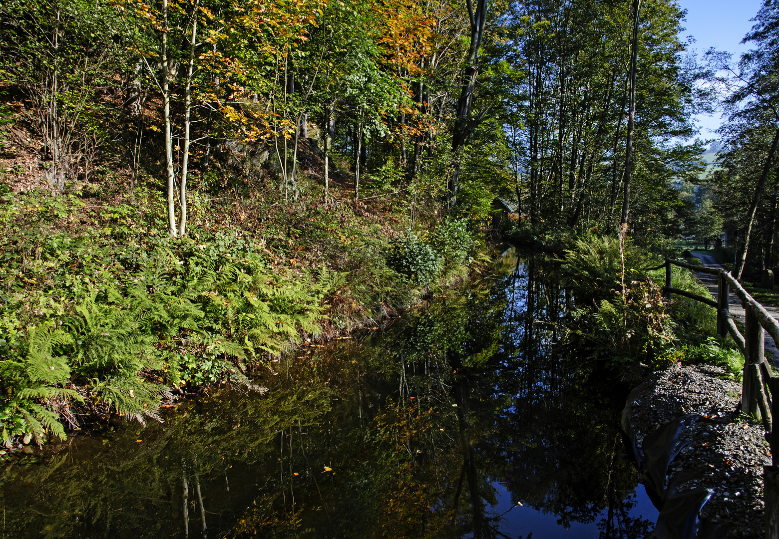 Pressnitztal im Erzgebirge