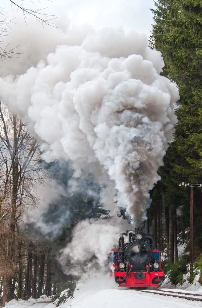 Preßnitztalbahn 30.12.2012 Teil 2