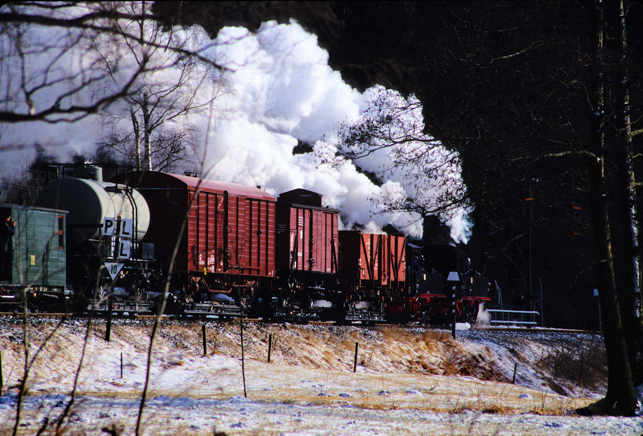 Pressnitztalbahn along the Wildbach