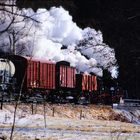 Pressnitztalbahn along the Wildbach