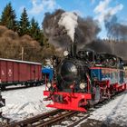 Preßnitztalbahn am 30.12.2012