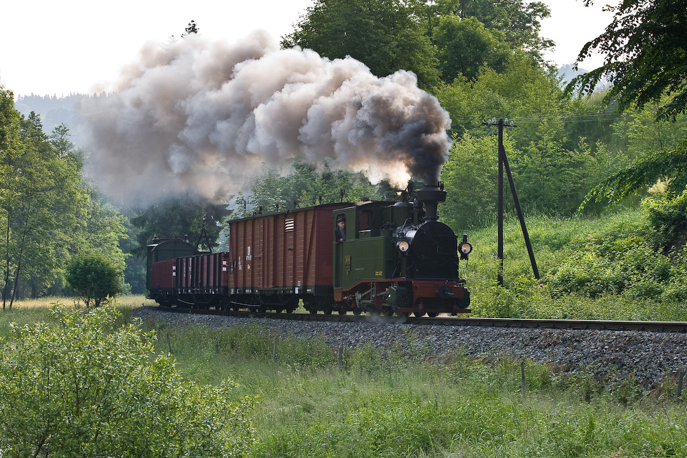 Preßnitztalbahn III