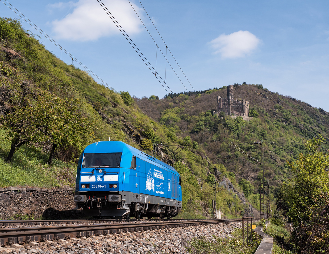 Preßnitztalbahn im Rheintal