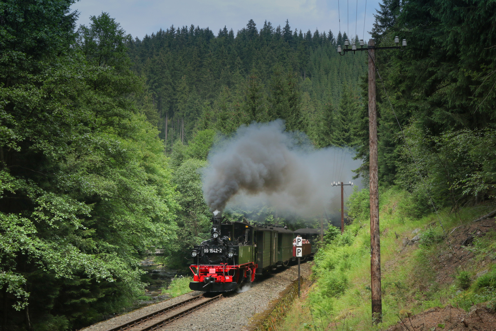 Preßnitztalbahn, im Schwarzwassertal