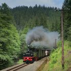 Preßnitztalbahn, im Schwarzwassertal