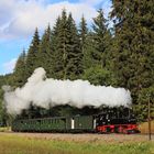 Preßnitztalbahn im Sommer 01