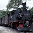Pressnitztalbahn Juni 1979